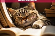 探究猫咪爱睡觉的奥秘，猫咪爱睡觉的奥秘探究