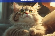 猫咪为何喜欢蹭人，猫咪喜欢蹭人的原因