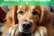 狗狗蹭人行为解析，情感表达与需求满足的背后原因