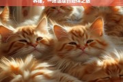 养猫，一场温暖的陪伴之旅，养猫，温暖的陪伴旅程