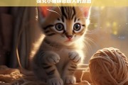 探究小猫咪总咬人的原因，小猫咪总咬人的原因探究