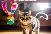 关于逗猫棒对猫有效的探究，逗猫棒对猫有效性之探究