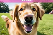 忠诚的狗子，忠诚之犬