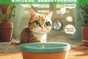 猫为什么有洁癖？揭秘猫咪爱干净的背后原因