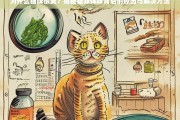 揭秘猫咪体味背后的原因与解决方法，为什么猫咪会变臭？