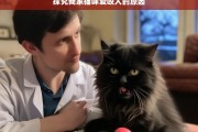 探究我家猫咪爱咬人的原因，我家猫咪为何爱咬人