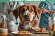 狗狗不吃饭的原因分析与有效解决方法