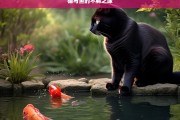 猫与鱼的不解之缘，猫与鱼，不解之缘