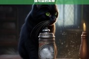 猫与盐的奥秘，猫与盐的神秘关联