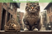 探究，现在的猫为何不捉老鼠，探究猫不捉老鼠现象之因