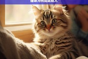 猫咪为何如此粘人，猫咪粘人之谜