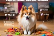 揭秘史宾格犬的饲养挑战，为什么史宾格不好养？