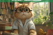 公猫为何特别粘人？揭秘猫咪行为背后的科学原因