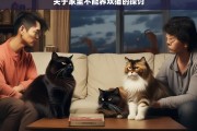 关于家里不能养双猫的探讨，家里为何不能养双猫？