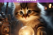 探究小猫呼呼声的奥秘，小猫呼呼声的奥秘探究