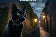 猫咪离家出走之谜，探寻猫咪离家出走的秘密