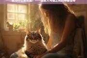 人与猫的神秘纽带，探索为何我们如此喜爱猫咪