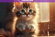 小猫洗脸的奥秘，小猫洗脸的奥秘探寻