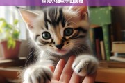 探究小猫咬手的奥秘，小猫咬手现象探究