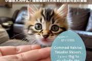 小猫咬人原因解析，揭秘猫咪行为背后的动机与应对方法