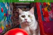 揭秘猫怕红色的原因，猫为何怕红色？