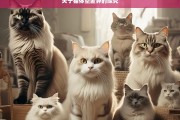 关于猫体型差异的探究，猫体型差异之探究