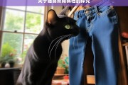 关于猫喜欢闻裤裆的探究，猫为何喜欢闻裤裆