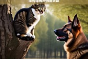 探究猫狗为何是天敌，猫狗为何是天敌之探究