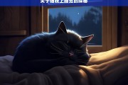 关于猫晚上睡觉的探秘，猫的夜间睡眠探秘