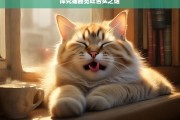 探究猫睡觉吐舌头之谜，猫睡觉吐舌头的原因探究