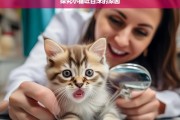 探究小猫吐白沫的原因，小猫吐白沫原因探究