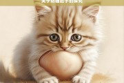 关于奶猫肚子的探究，奶猫肚子的奥秘探究