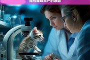 探究猫咪早产的原因，猫咪早产原因探究