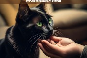 探究猫咪老是闻人的原因，猫咪为何老是闻人