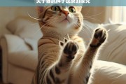 关于猫抓脖子现象的探究，猫抓脖子现象探究