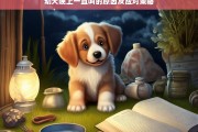 幼犬夜间吠叫的原因分析与解决措施