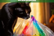 探究猫舔塑料袋的原因，猫舔塑料袋原因探究