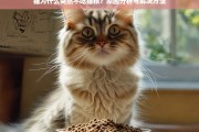 猫突然不吃猫粮的原因分析与解决方法