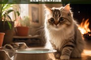 探究猫不喜欢喝水的原因，猫不喜欢喝水的缘由探究