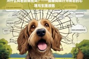 狗狗为何一见你就叫？揭秘背后的心理与生理原因