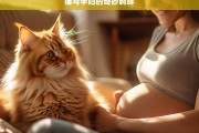 猫与孕妇的奇妙羁绊，猫与孕妇的奇妙羁绊