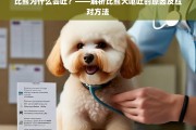 比熊犬呕吐原因解析及应对方法