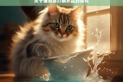 关于猫故意打翻水盆的探究，猫为何故意打翻水盆之探究