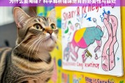 为什么要阉猫？科学解析猫咪绝育的必要性与益处