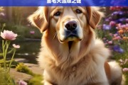 金毛犬温顺之谜，金毛犬温顺的秘密