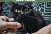 探究猫身上骚臭味的原因，猫身上骚臭味成因探究