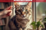 探究猫不喜欢人抱的原因，猫不喜欢人抱的原因探究