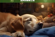 狗狗的睡眠之谜，狗狗睡眠的奥秘