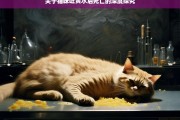 关于猫咪吐黄水后死亡的深度探究，猫咪吐黄水后死亡之因探究