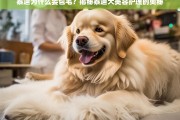 泰迪犬包毛原因揭秘，美容护理背后的科学原理